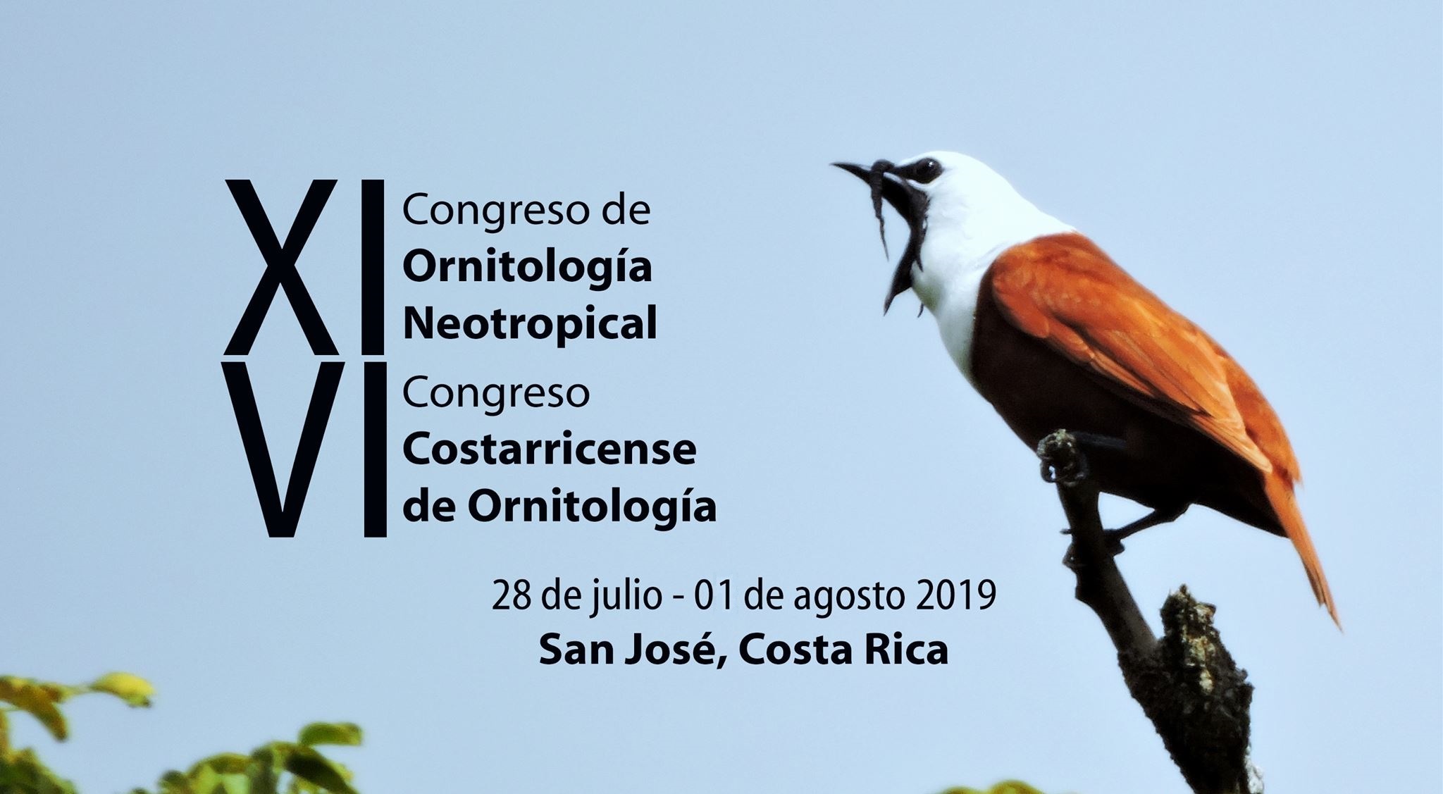 Banner Congreso