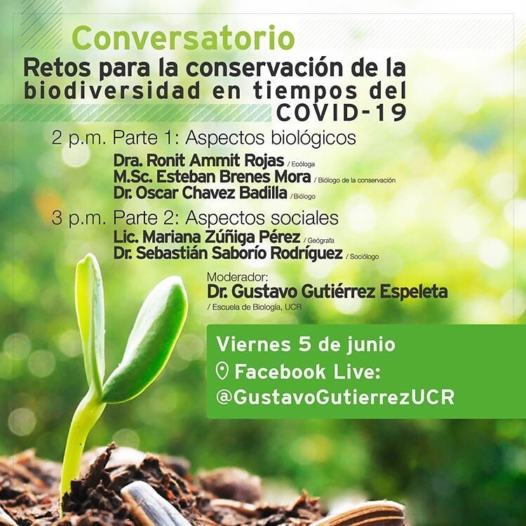 invitacion