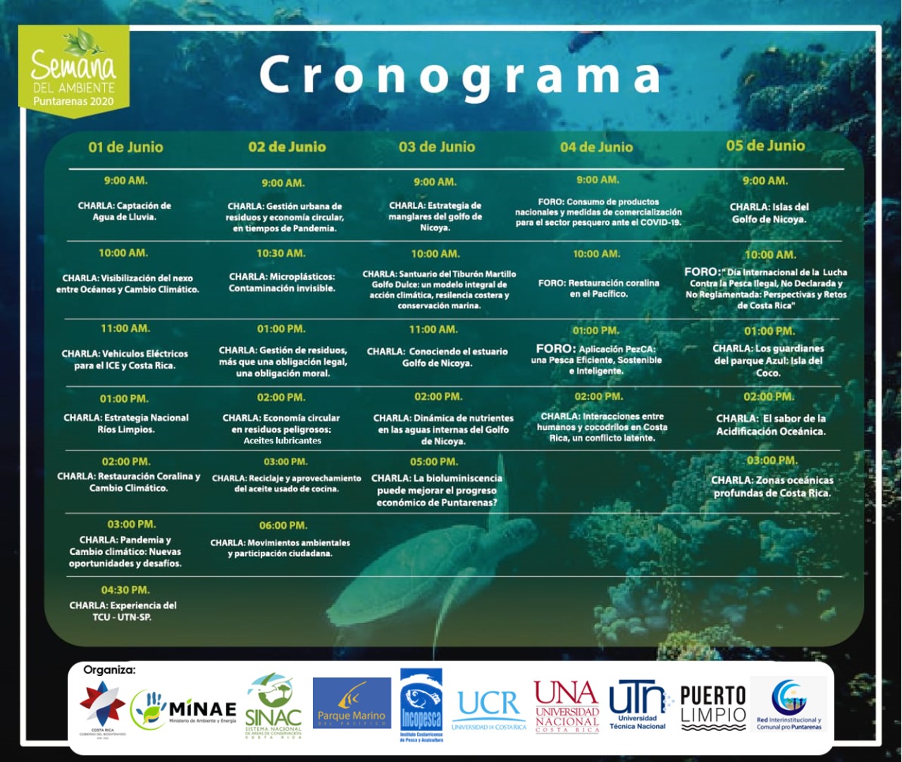 Cronograma general