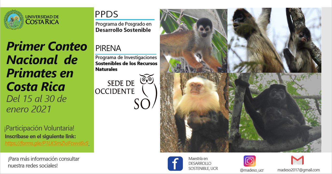 invitacion