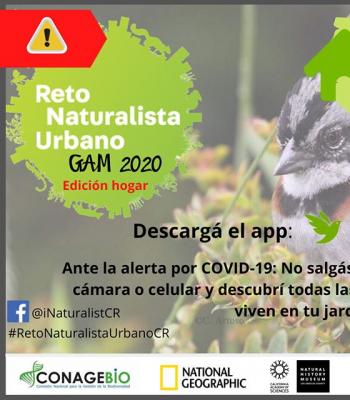 Reto urbano