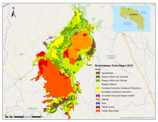Ecosistemas vegetales del Humedal Caño Negro
